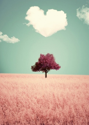 Loving this picture above! Check out more things I loved last week in this post. Like prints and even a freebie.