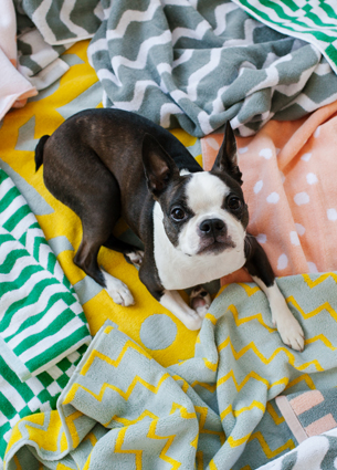 Er staat weer een nieuwe 10 Things I Love Monday voor je klaar. Deze week een mix van blijmakers met vrolijke kleurtjes.
